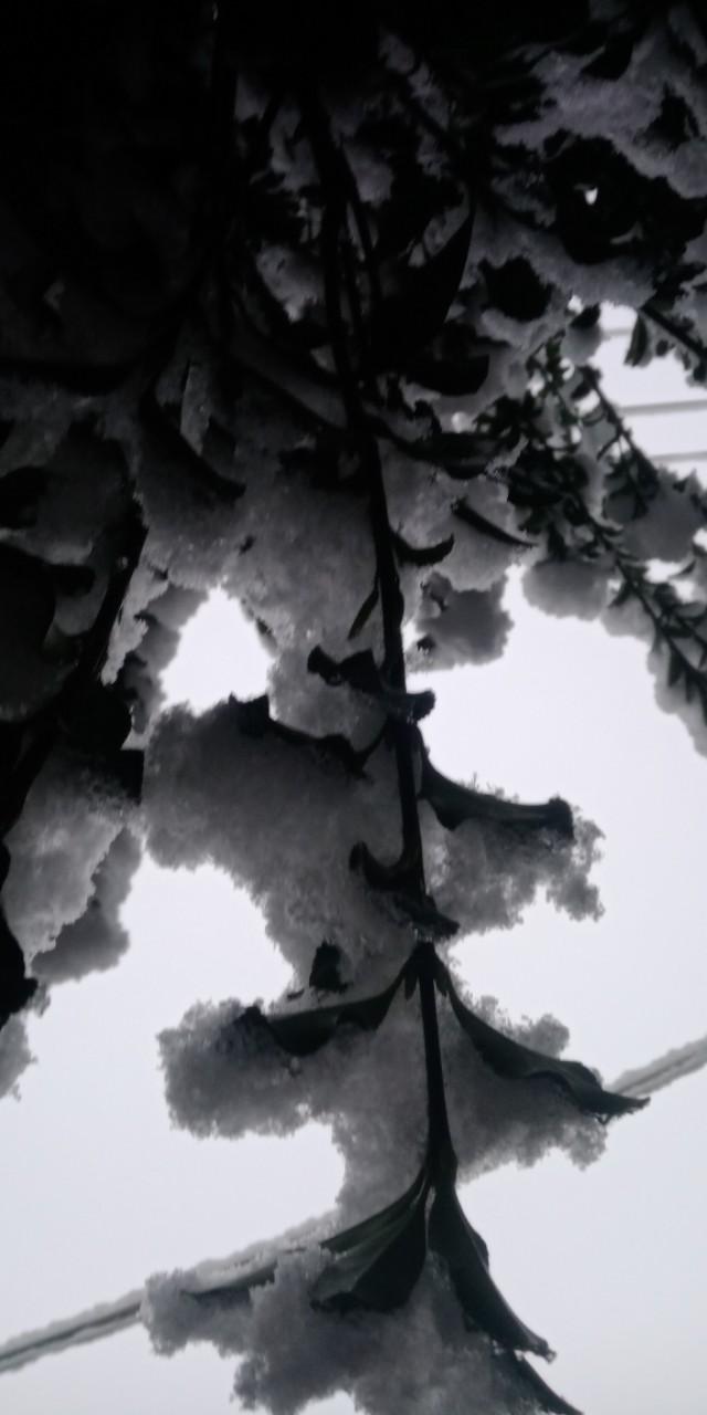 三句話讓你瞬間擺脫煩惱，重拾心情的平衡藝術(shù)，三句話重塑心態(tài)，擺脫煩惱，找回平衡的藝術(shù)