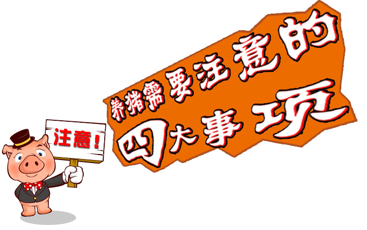 二四六王中王