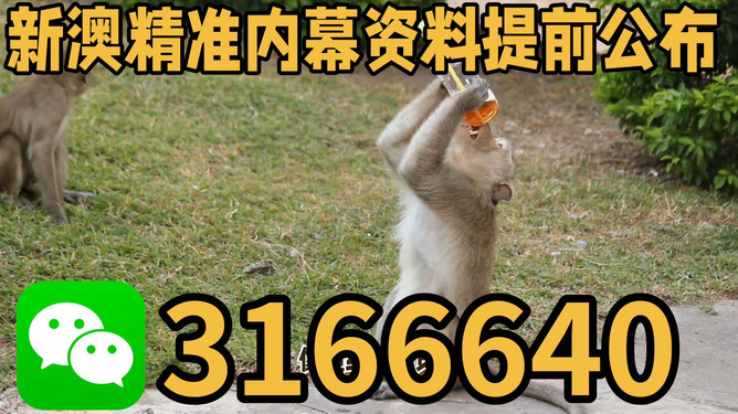 探索澳門特馬文化，四不像的獨(dú)特魅力與未來展望（關(guān)鍵詞，澳門特馬四不像），澳門特馬四不像文化深度探索，魅力、展望與未來發(fā)展
