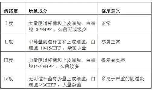 滴蟲與霉菌，哪個(gè)更嚴(yán)重？深入了解兩者的差異與影響，滴蟲與霉菌，哪個(gè)更嚴(yán)重？差異與影響深度解析