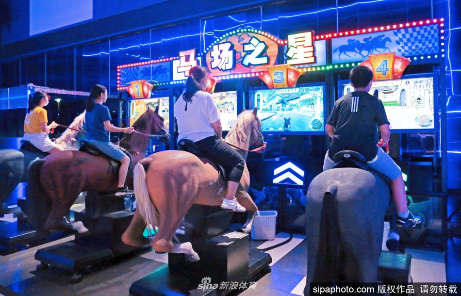 王中王精選四肖選一肖，揭秘背后的秘密與策略，揭秘王中王精選四肖選一肖背后的秘密策略與選擇技巧