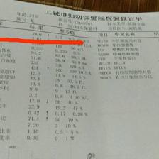 白細(xì)胞高說明什么，解讀身體信號(hào)背后的真相，解讀身體信號(hào)，白細(xì)胞升高揭示的健康真相