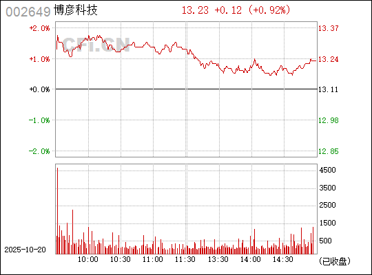 關(guān)于代碼002649的深入解析與SEO優(yōu)化策略，代碼002649深度解析與SEO優(yōu)化指南