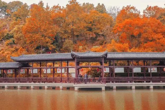 寧波旅游景點一日游哪里最好玩？精選一日游攻略，寧波最佳一日游景點攻略，必玩景點推薦