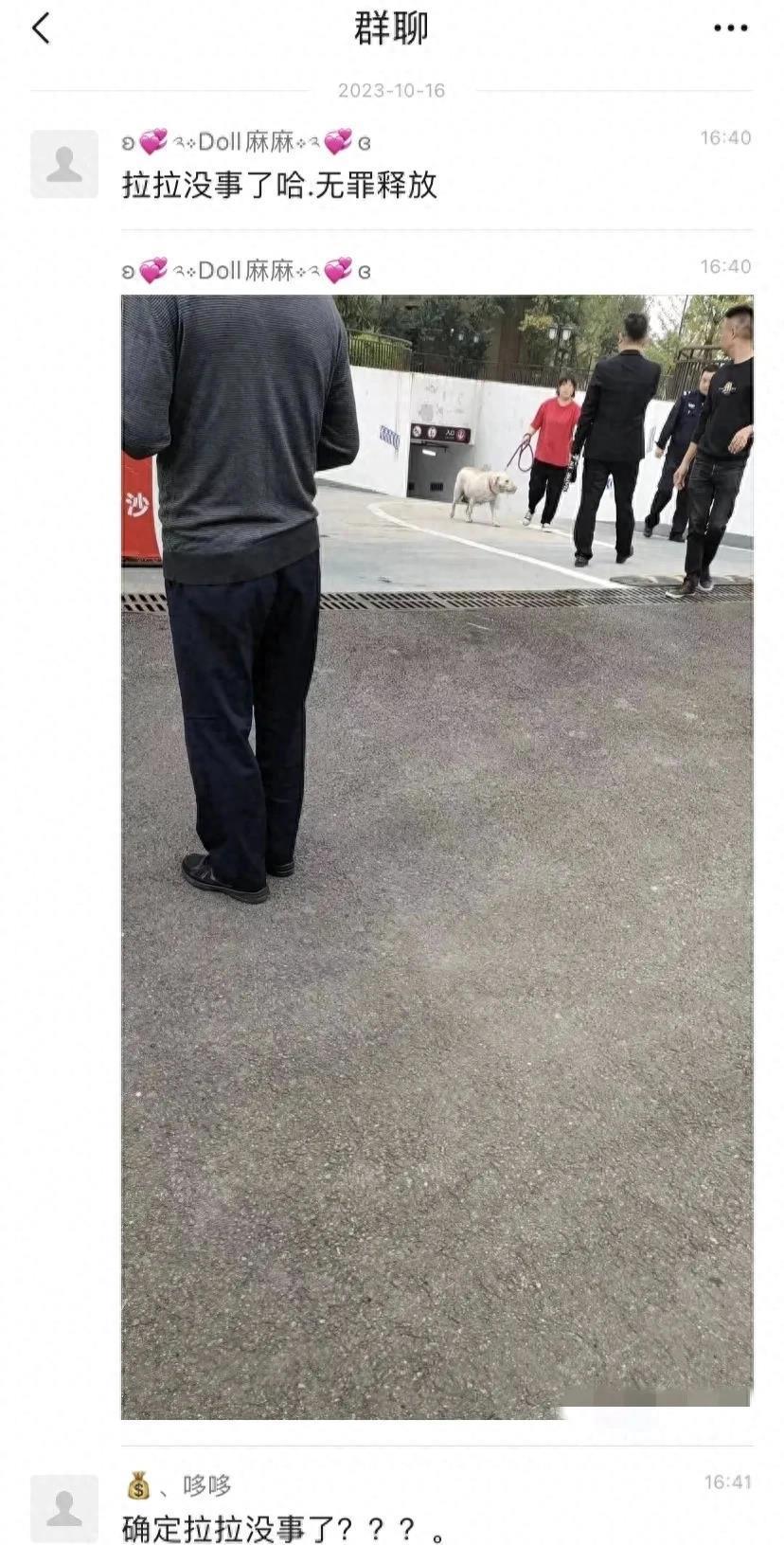 狗咬了多久過(guò)安全期，深入了解與應(yīng)對(duì)方法，狗咬傷后的安全期及應(yīng)對(duì)方法詳解