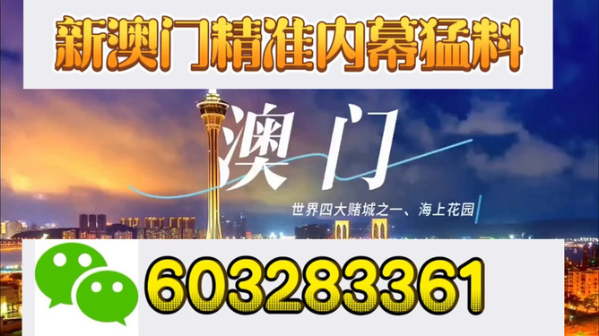 新澳門開獎(jiǎng)結(jié)果，探索與解析，新澳門開獎(jiǎng)結(jié)果深度解析與探索