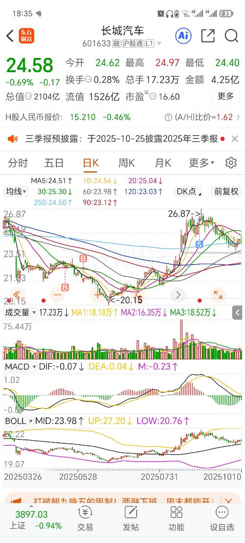 長城汽車股票股吧深度解析，長城汽車股票深度解析與股吧熱議