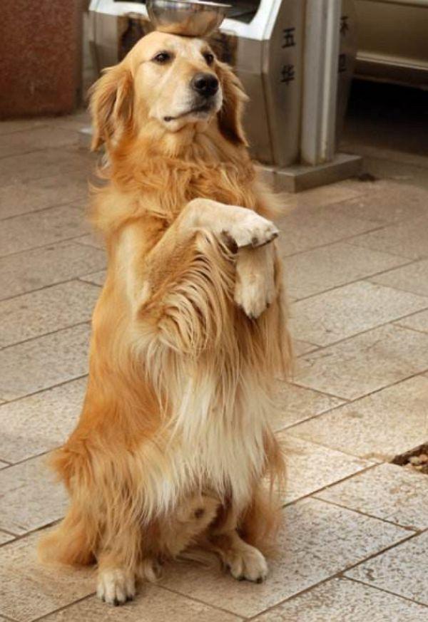 懷孕頭三個(gè)月，慎談喜事，關(guān)愛(ài)健康，懷孕頭三個(gè)月，謹(jǐn)慎談喜，重視健康關(guān)愛(ài)