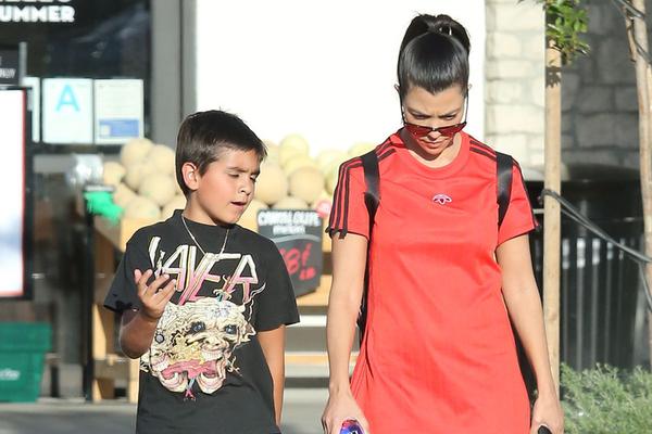 王中王兔費(fèi)一肖，揭秘背后的秘密與SEO策略，揭秘王中王兔費(fèi)預(yù)測背后的秘密與SEO策略