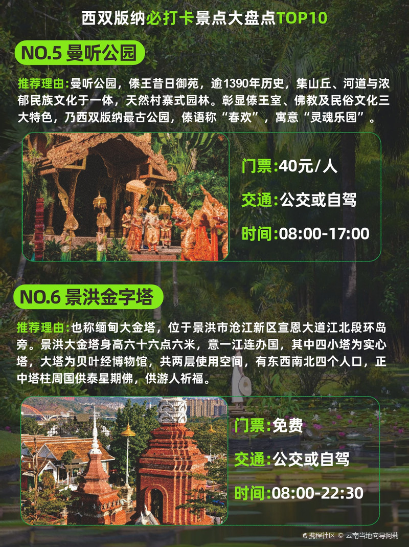 西雙版納最坑景點，深度解析與旅行建議，西雙版納坑爹景點揭秘，深度解析與旅行指南