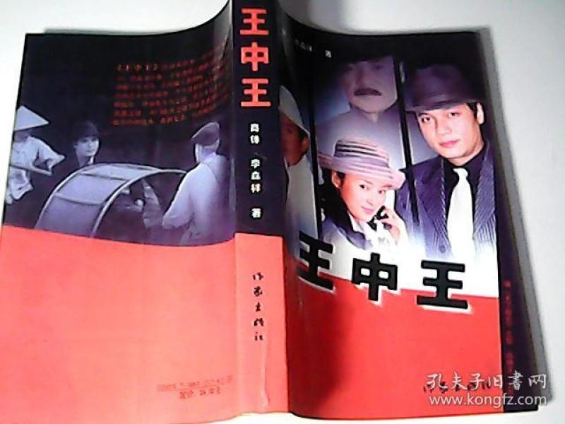 王中王資料一肖中特小說，深度解析與探索，王中王資料一肖中特小說的深度解析與探索之旅