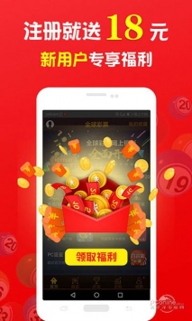 關(guān)于王中王中特免費(fèi)一肖的探討，王中王中特免費(fèi)一肖，深度探討與解析