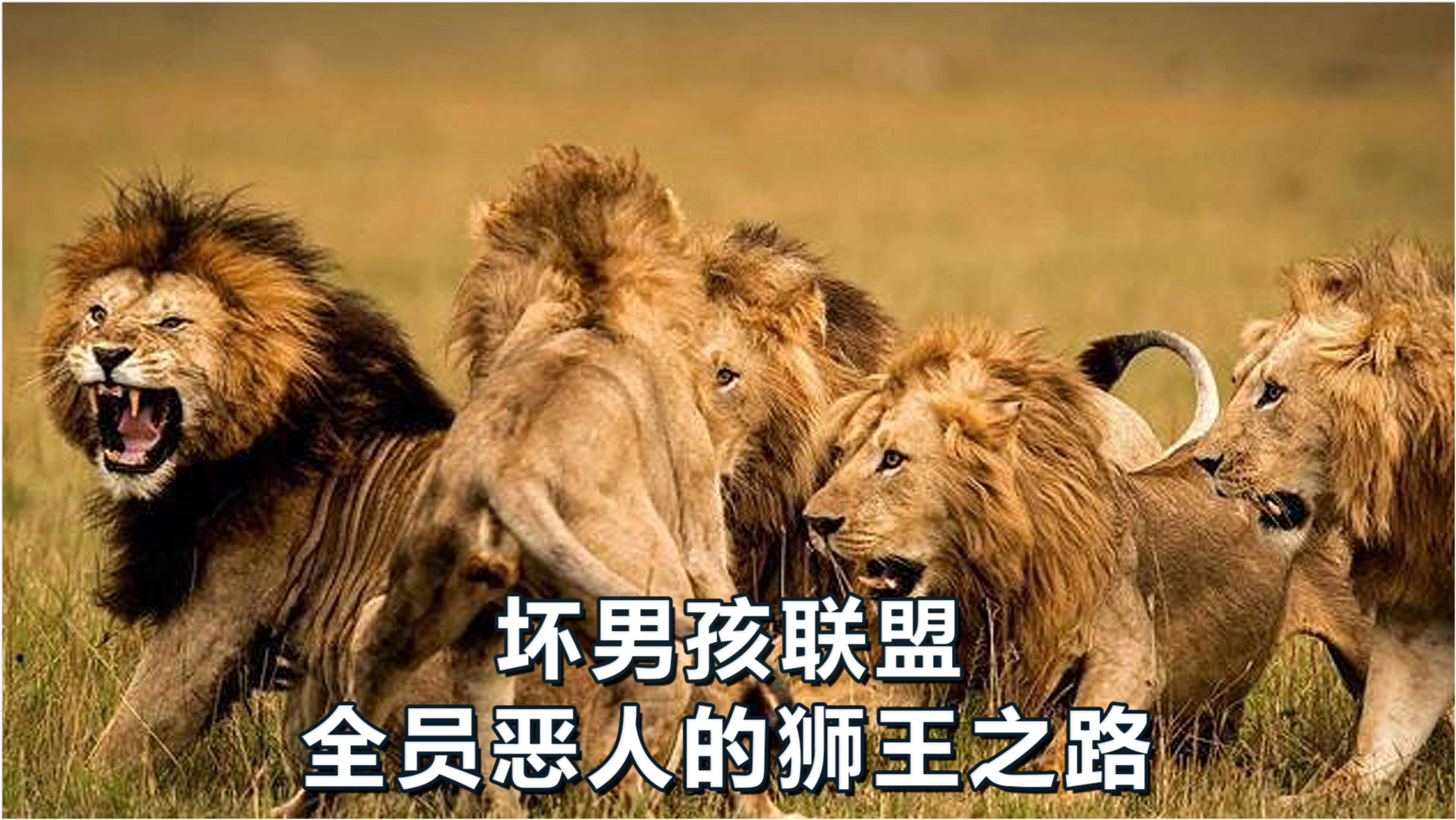 王中王必中一肖四不像圖——深度解析與探索，王中王必中一肖四不像圖深度解析與探索揭秘