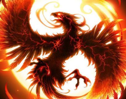 王中王精準一肖中鳳凰，揭秘預(yù)測之謎，揭秘王中王精準預(yù)測一肖中鳳凰的奧秘