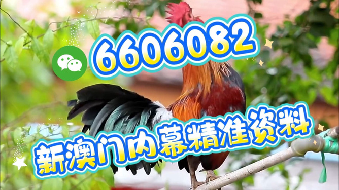 澳門特馬今天開獎(jiǎng)結(jié)果，揭秘彩票背后的秘密，澳門特馬今天開獎(jiǎng)結(jié)果揭秘，彩票背后的秘密大揭曉