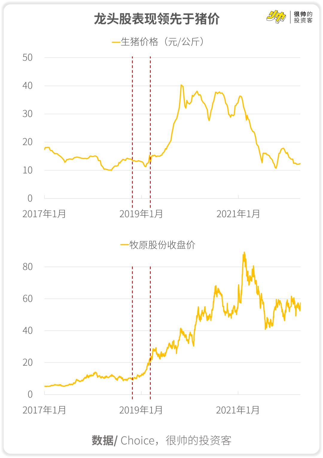 牧原股份股票行情深度解析，牧原股份股票行情全面深度解析