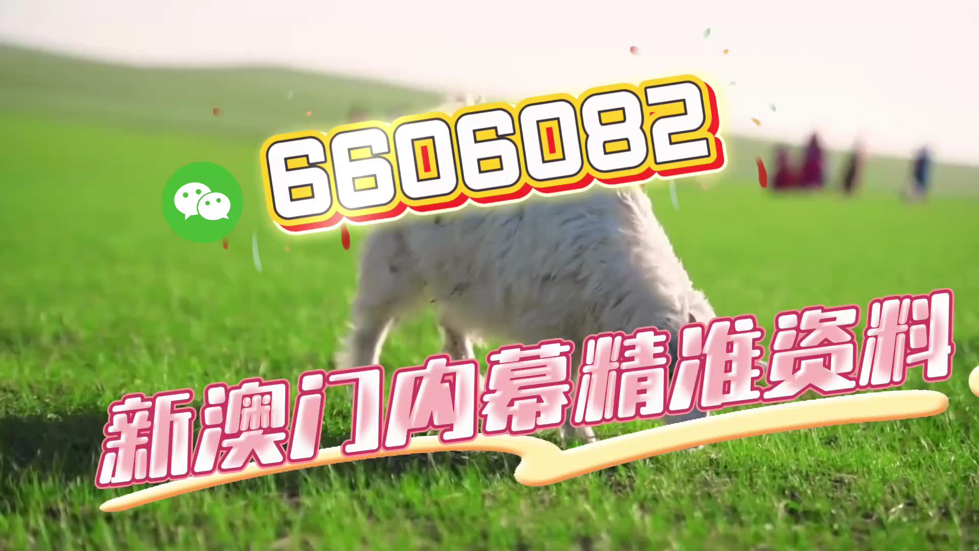 今日最準(zhǔn)生肖一碼