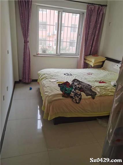 大皇王中王一肖，揭秘背后的秘密與策略，揭秘大皇王中王一肖背后的秘密與策略