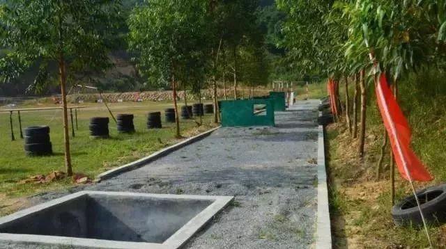 近期國(guó)防軍事事件，全球軍事動(dòng)態(tài)深度解析，全球軍事動(dòng)態(tài)深度解析，國(guó)防軍事事件最新進(jìn)展與啟示