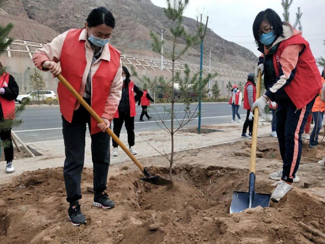 天下彩天天空彩資料免費大全管家，探索與解析，天下彩天天空彩資料大全管家，深度探索與解析