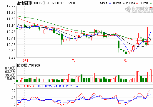 關(guān)于600383的最新消息全面解析，600383最新消息全面解析