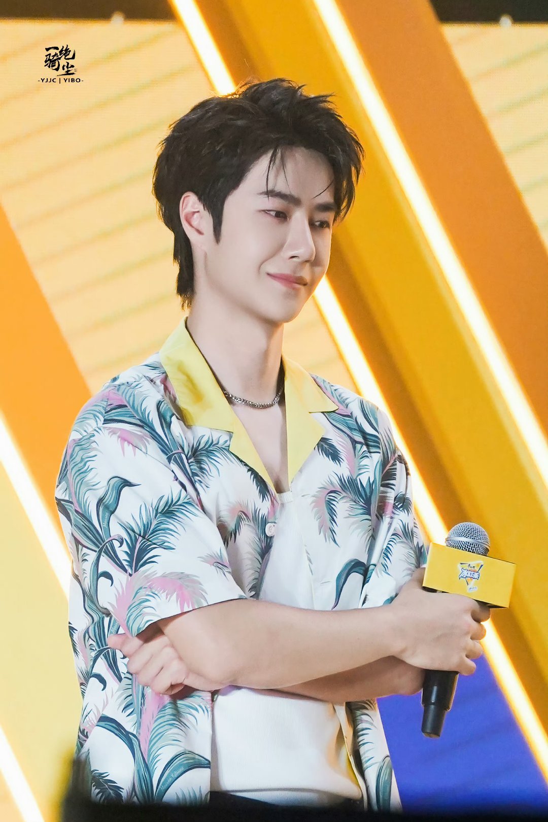 王中王一肖中特家婆，深度解讀背后的故事與奧秘，王中王一肖背后的故事與奧秘深度解讀