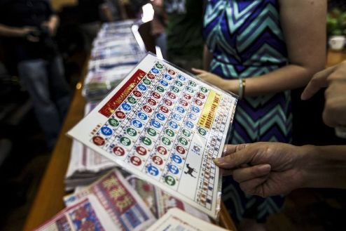 王中王的一肖中特馬——探尋背后的奧秘與魅力，王中王一肖特馬背后的奧秘與魅力探尋