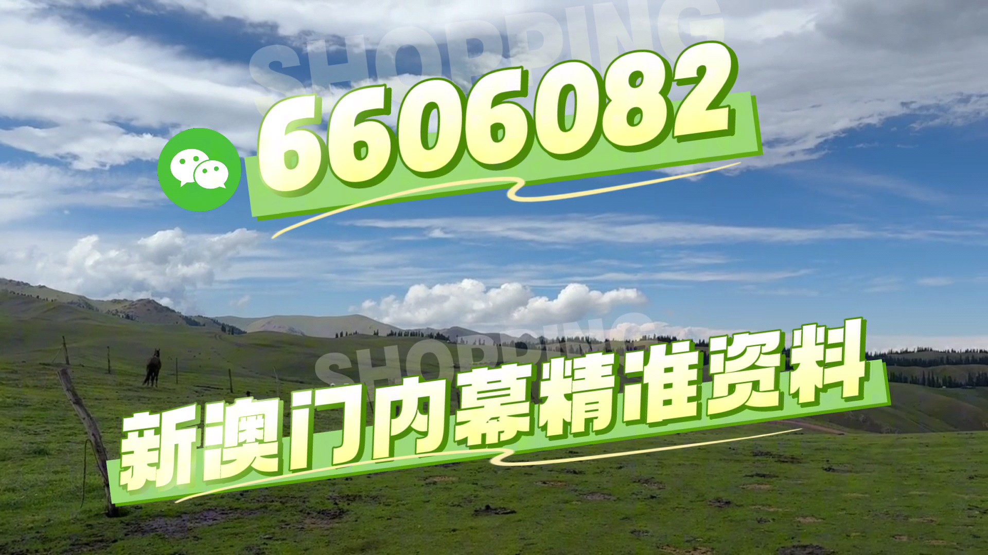 澳門特馬今晚開獎億彩網(wǎng)，探索彩票的未來與策略，澳門特馬今晚開獎億彩網(wǎng)，彩票未來趨勢與策略探索