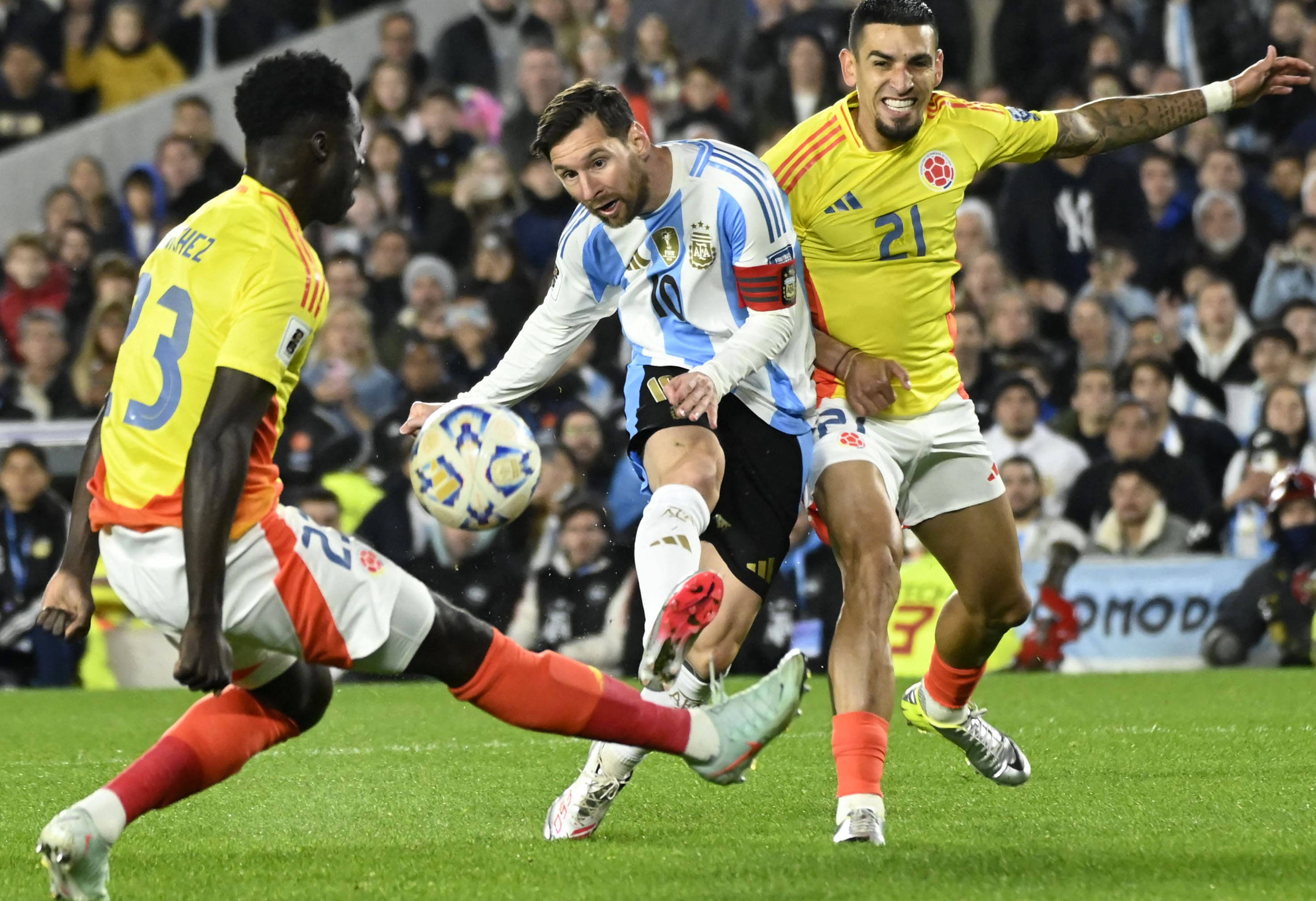 王中王077期一肖特種，深度解析與SEO優(yōu)化策略，王中王077期生肖特種深度解析與SEO優(yōu)化策略探討