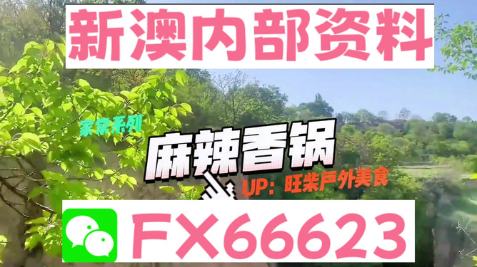 新澳精準(zhǔn)資料免費提供，探索與實踐的指南，新澳精準(zhǔn)資料免費分享，探索與實踐的導(dǎo)航指南