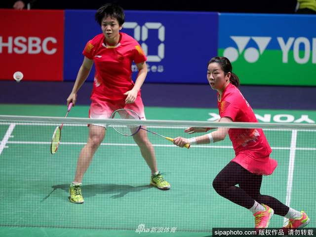 揭秘劉伯溫930四肖選一肖的神秘面紗，劉伯溫四肖選一肖的神秘面紗揭秘