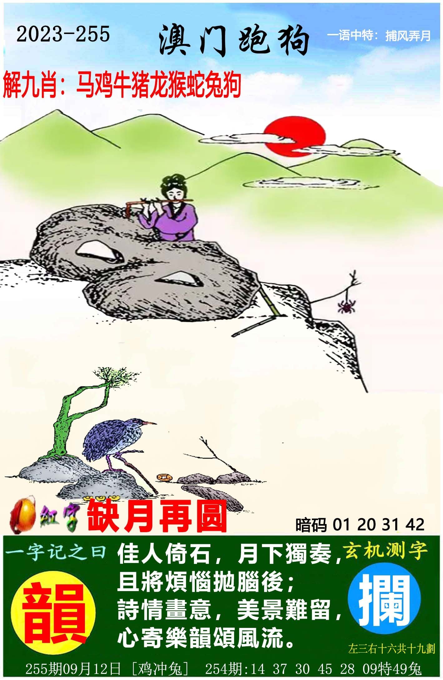 澳門六開獎結(jié)果特馬師——探索與解析，澳門六開獎結(jié)果特馬師解析與探索