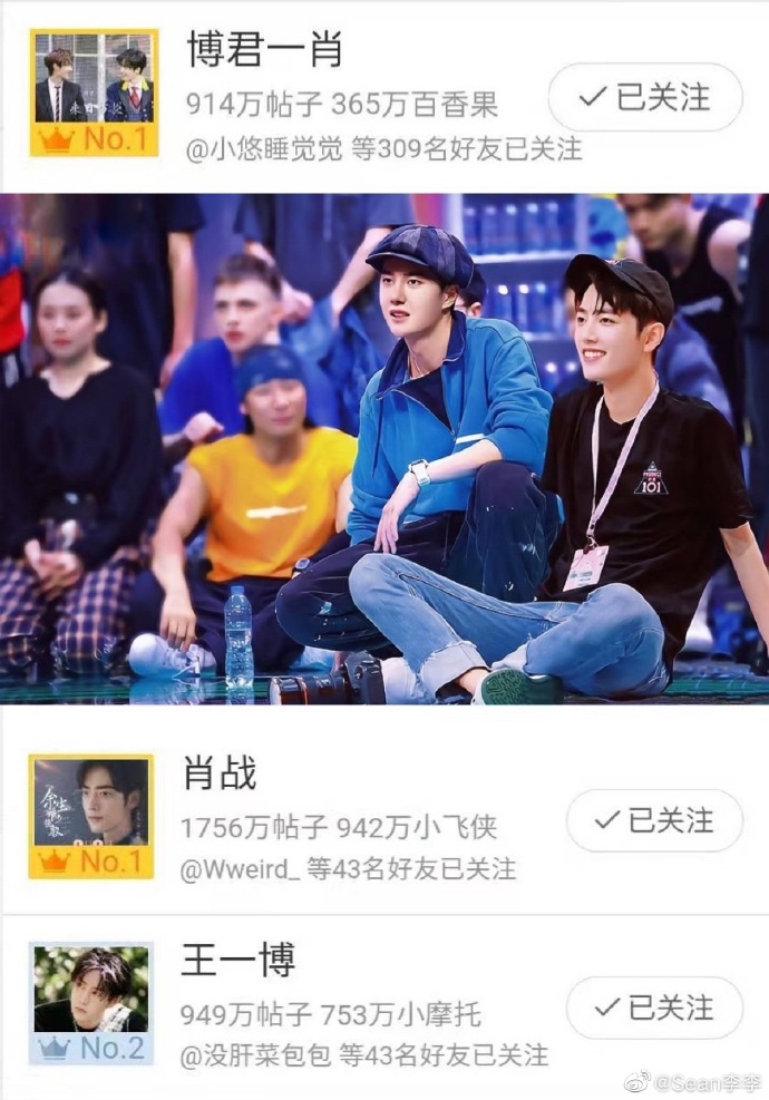 王中王一肖中特資料詳解，王中王一肖中特資料深度解析