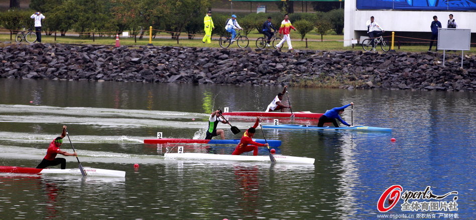王中王一肖一馬期期中特，深度解析與SEO優(yōu)化策略，王中王一肖一馬期期中特深度解析與SEO優(yōu)化策略指南