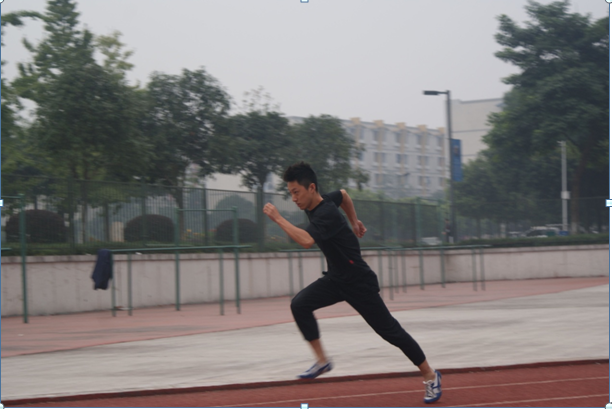 YN蕩校園運動會精彩瞬間，運動之筆記錄輝煌，YN蕩校園運動會輝煌瞬間，運動之筆描繪精彩篇章