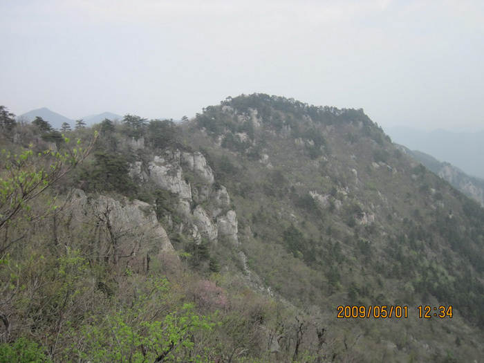 天目山風(fēng)景區(qū)，自然美景的瑰寶，天目山風(fēng)景區(qū)，自然美景的絕美瑰寶