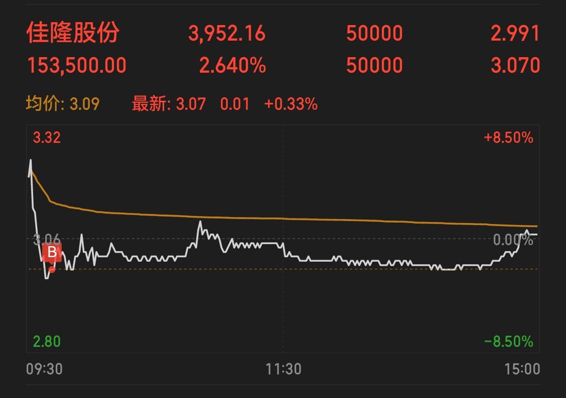佳隆股份，引領(lǐng)行業(yè)前沿，展現(xiàn)企業(yè)卓越實(shí)力，佳隆股份，行業(yè)先鋒，卓越實(shí)力展現(xiàn)