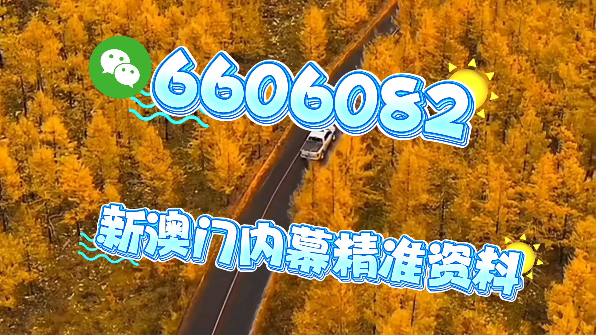 新澳門一肖一特一中，探索與解析，新澳門一肖一特一中，深度探索與解析