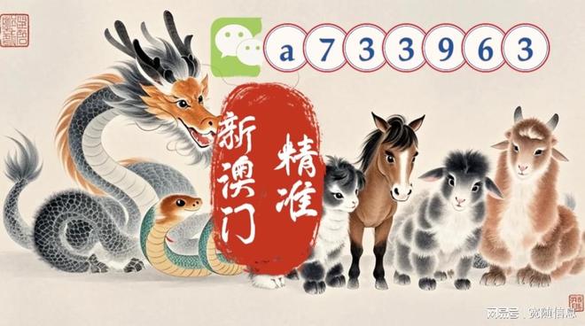 新澳2025正版資料免費公開，全面解析與獲取指南，新澳2025正版資料全面解析與獲取指南，免費公開信息，一網(wǎng)打盡！